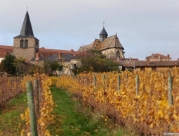 departement LOIRE (3)