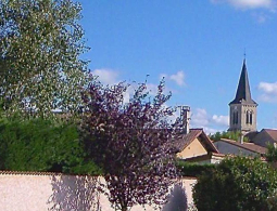 église Saint-Cyprien