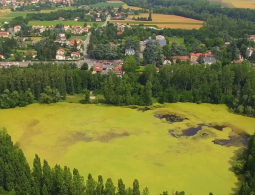 gour véroniques aérien