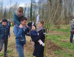 un arbre une naissance (21)