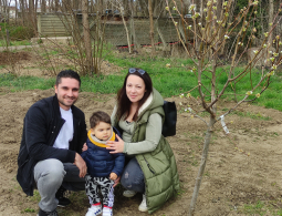 un arbre une naissance (23)