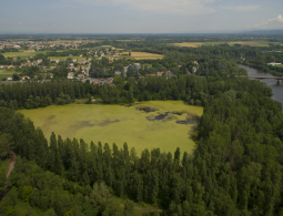 st cyprien aerien (1)