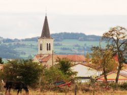 Saint-Cyprien Forez