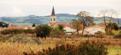 SAINT-CYPRIEN FOREZ