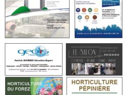 Sponsors 3