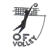 logo-volley-vd