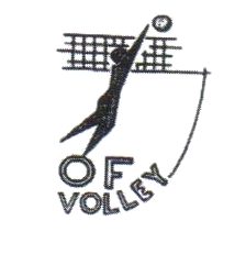 logo volley