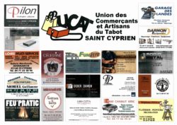 ucat (2)