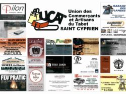 ucat (2)