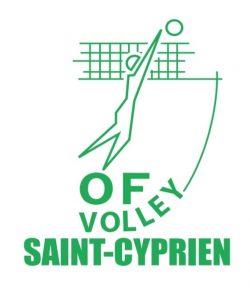 logo volley