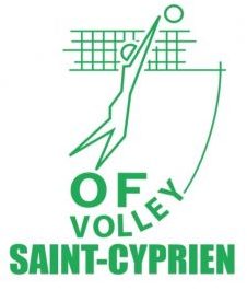 logo volley