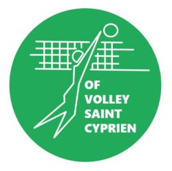 logo volley v2