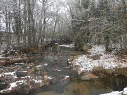 st cyp hiver (1)