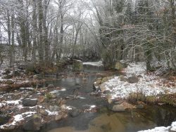 st cyp hiver (1)