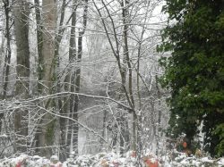st cyp hiver (10)
