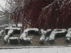 st cyp hiver (2)
