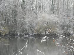st cyp hiver (7)