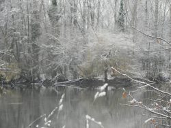 st cyp hiver (7)
