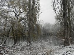 st cyp hiver (8)