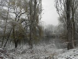 st cyp hiver (8)
