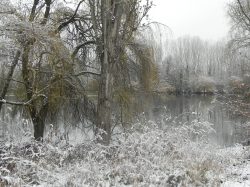 st cyp hiver (9)