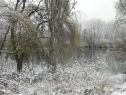 st cyp hiver (9)