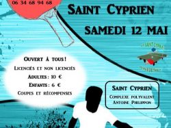 tennis table tournoi