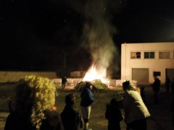 CARNAVAL (3)