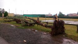 mini tempete (6)