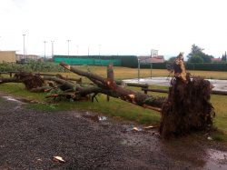 mini tempete (6)