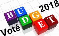 budget