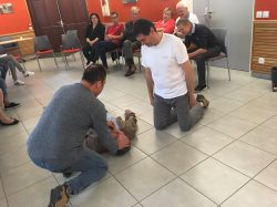 formation defibrillateur (16)