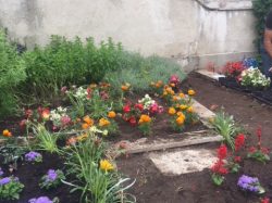 LE JARDINAGE DES ENFANTS du groupe scolaire ‘Les Magnolias’