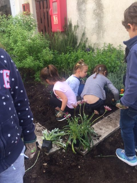 école jardinage (2)