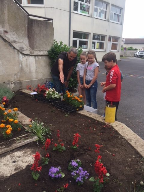 école jardinage (4)