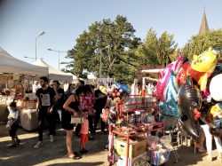 marché été (8)