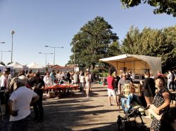 marché été (7)