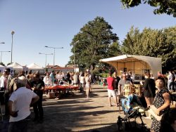 marché été (7)