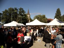 marché été (9)