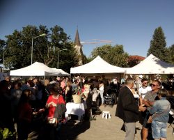 marché été (9)