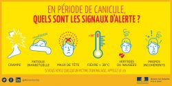 canicule 2