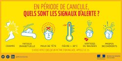 canicule 2