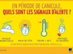 canicule 2