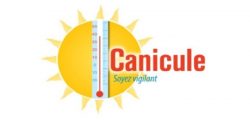 canicule 3