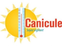 CANICULE : Ayez les bons gestes !