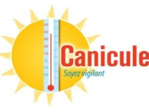 CANICULE : Ayez les bons gestes !