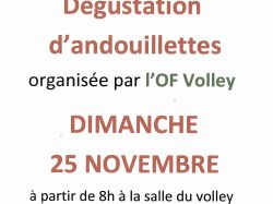 Volley andouillette