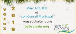 CARTE VOEUX 2019
