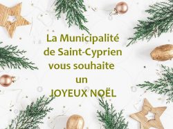 noel 2019
