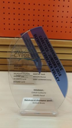 trophées volley (8)